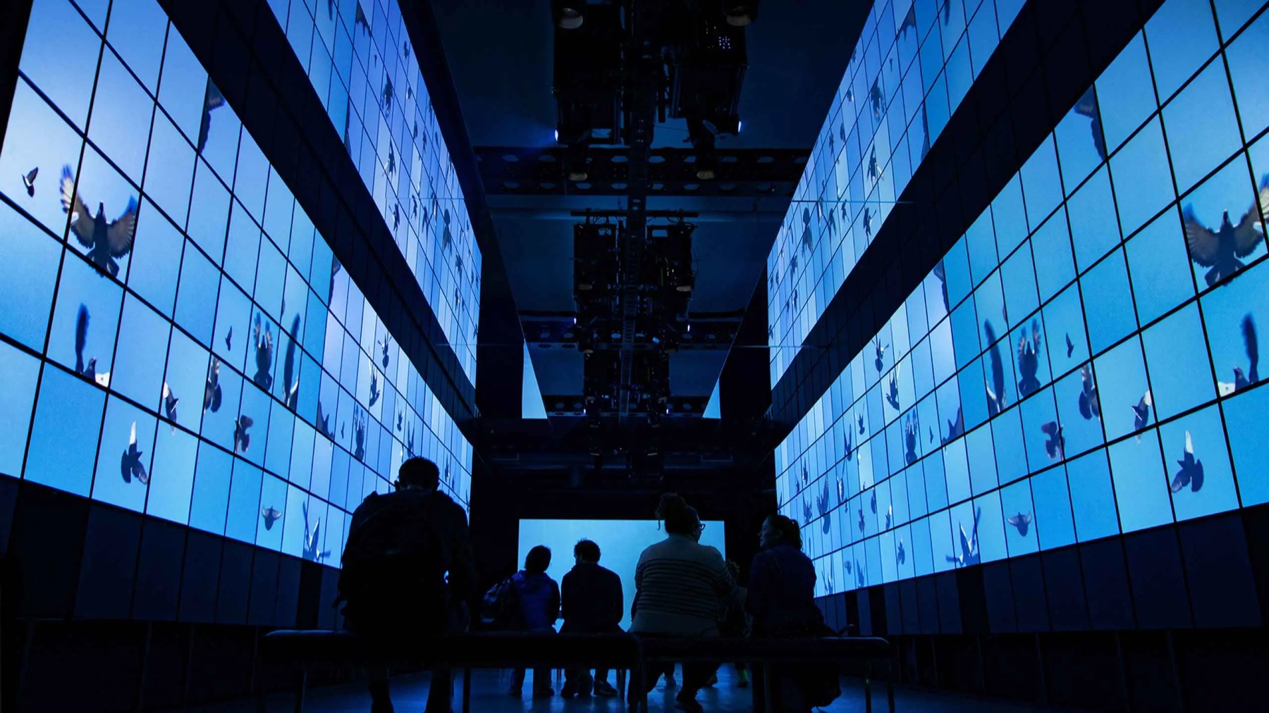 Visitors immersed in a blue sequence across the installation's screen walls